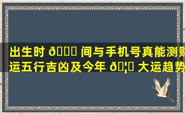 出生时 🕊 间与手机号真能测财运五行吉凶及今年 🦈 大运趋势